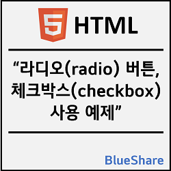 HTML 라디오(radio) 버튼, 체크박스(checkbox) 사용 예제