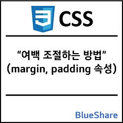 CSS 여백 조절하는 방법 - margin, padding 속성