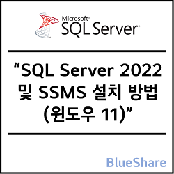 MSSQL Server 2022 및 SSMS 설치 방법 (윈도우 11)