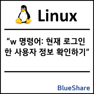리눅스 w 명령어: 현재 로그인한 사용자 정보 확인하기