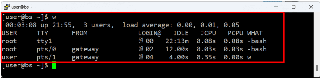 리눅스 w 명령어 실행 예시 화면