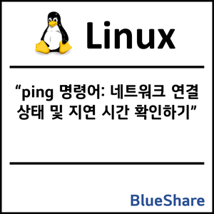 리눅스 ping 명령어: 네트워크 연결 상태 및 지연 시간 확인하기