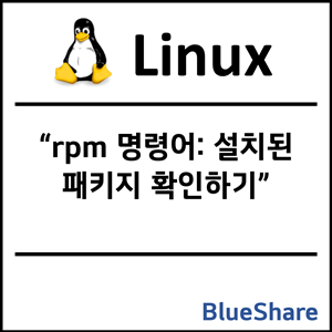 리눅스 rpm 명령어: 설치된 패키지 확인하기
