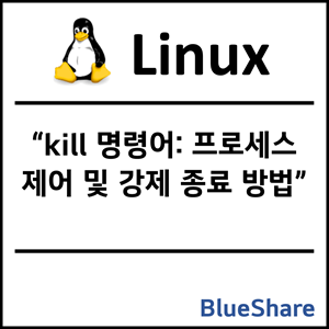 리눅스 kill 명령어: 프로세스 제어 및 강제 종료 방법