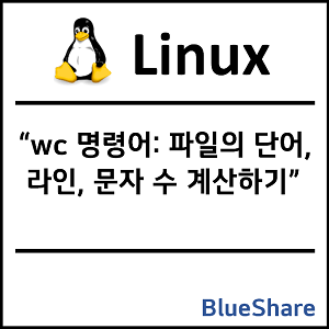 리눅스 wc 명령어: 파일의 단어, 라인, 문자 수 계산하기