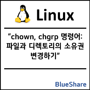 리눅스 chown, chgrp 명령어: 파일과 디렉토리의 소유권 변경하기