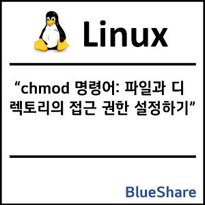 리눅스 chmod 명령어: 파일과 디렉토리의 접근 권한 설정하기