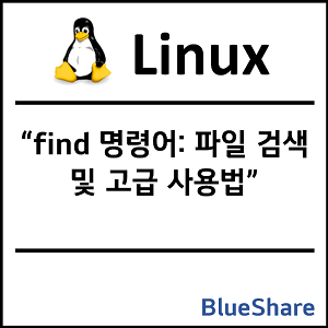리눅스 find 명령어: 파일 검색 및 고급 사용법