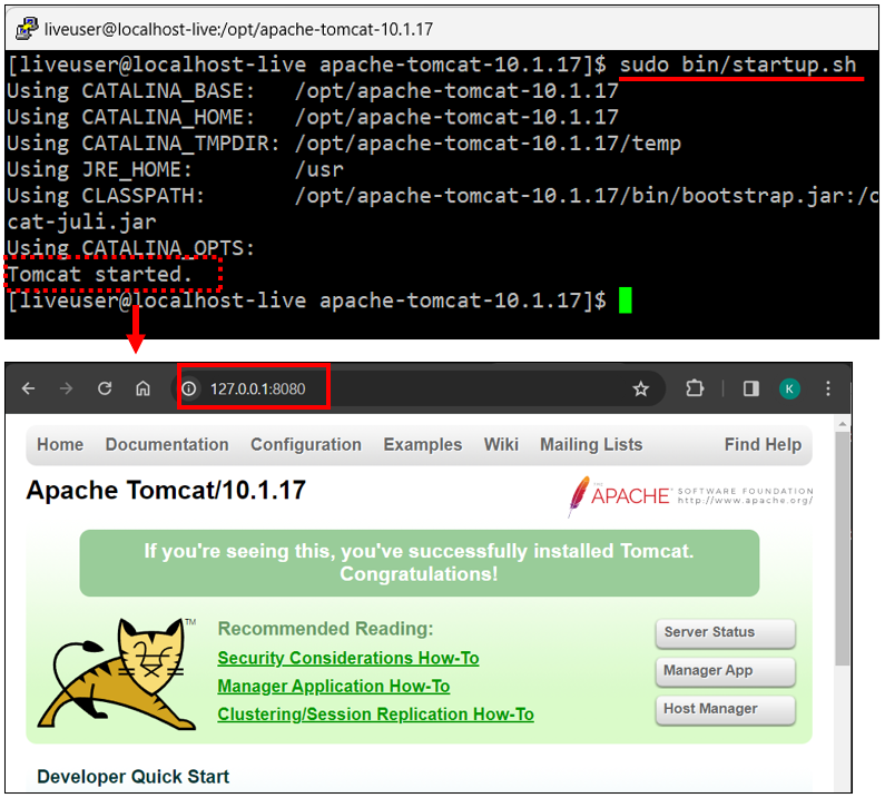 Fedora 에서 Tomcat 서버 구동