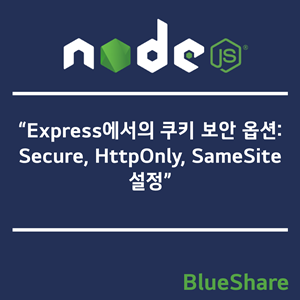 Express에서의 쿠키 보안 옵션: Secure, HttpOnly, SameSite 설정