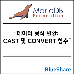 MariaDB 데이터 형식 변환: CAST 및 CONVERT 함수