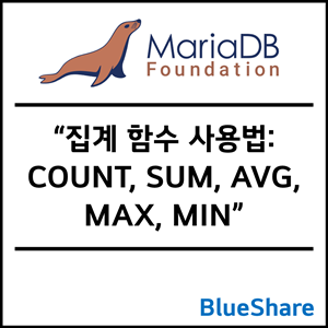 MariaDB 집계 함수 사용법: COUNT, SUM, AVG, MAX, MIN