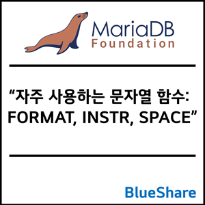 MariaDB 자주 사용하는 문자열 함수: FORMAT, INSTR, SPACE