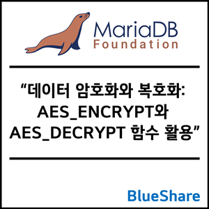 MariaDB 데이터 암호화와 복호화: AES_ENCRYPT와 AES_DECRYPT 함수 활용
