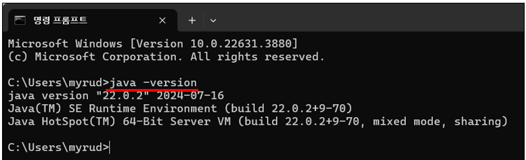 설치한 JDK 버전 확인